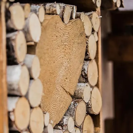 Haus Waltraud * نيوستيف ام ستوبيتا